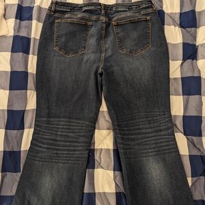 Vigoss Women's jeans, size 20 classic fit